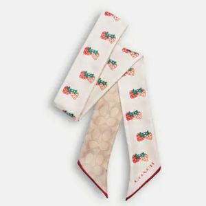 Signature 🍓Strawberry Print🍓 Silk Skinny Scarf